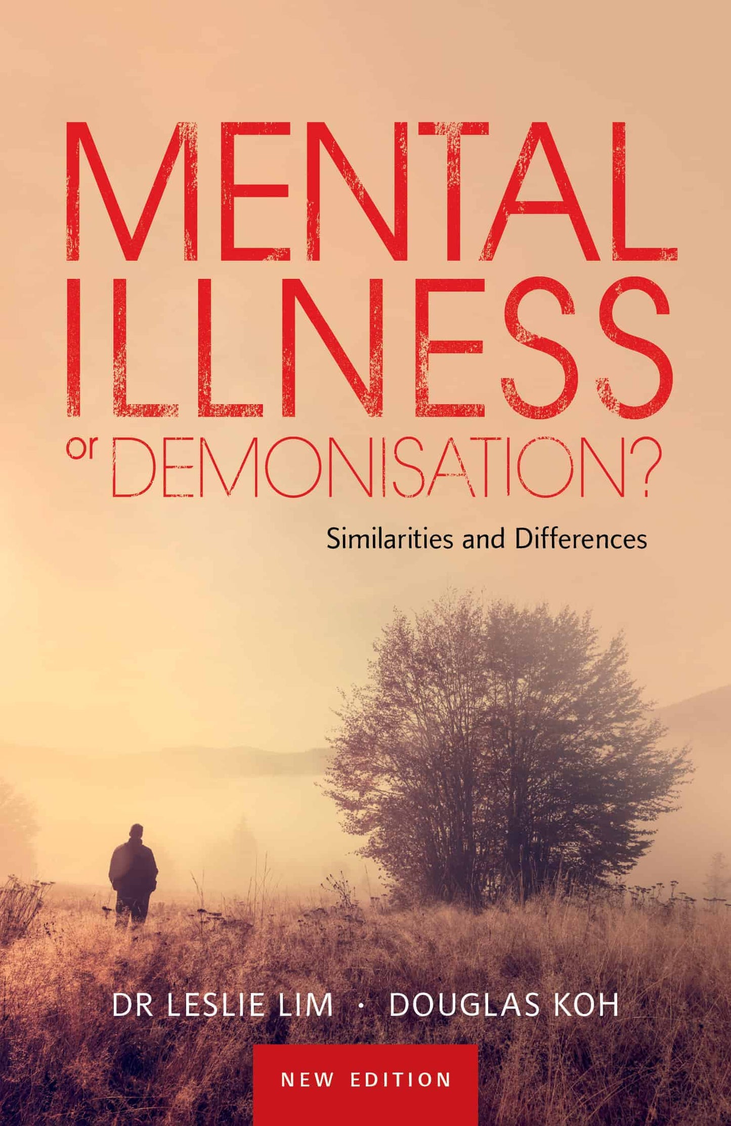 Mental Illness or Demonisation? Similarities and Differences (New Edition)