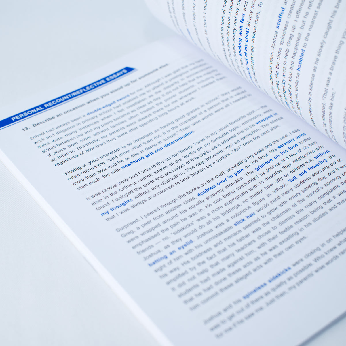 Ace Your Essay Writing: Personal Recount, Reflective & Expository Essays (Secondary/IP)