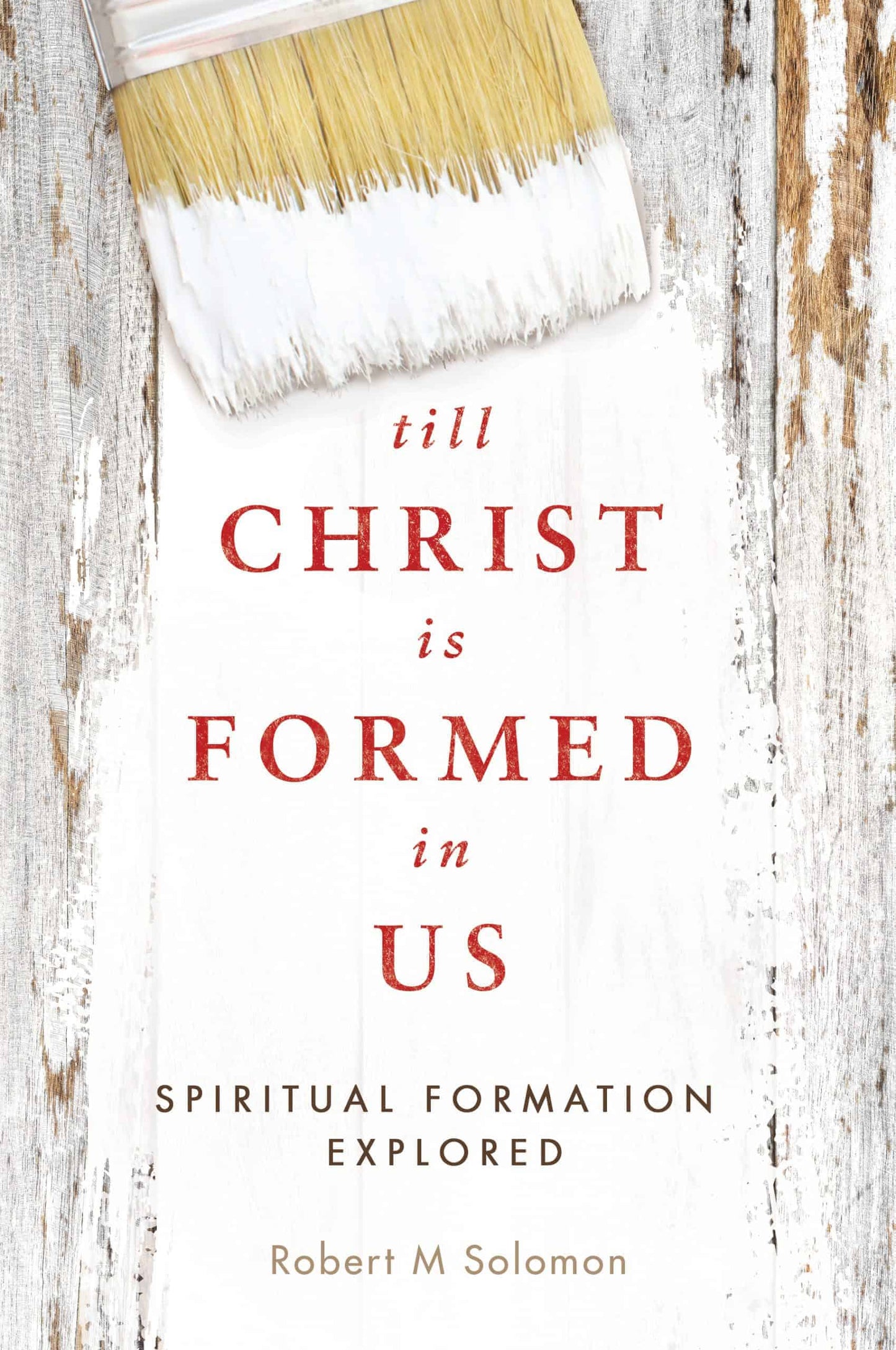 Till Christ is Formed in Us: Spiritual Formation Explored