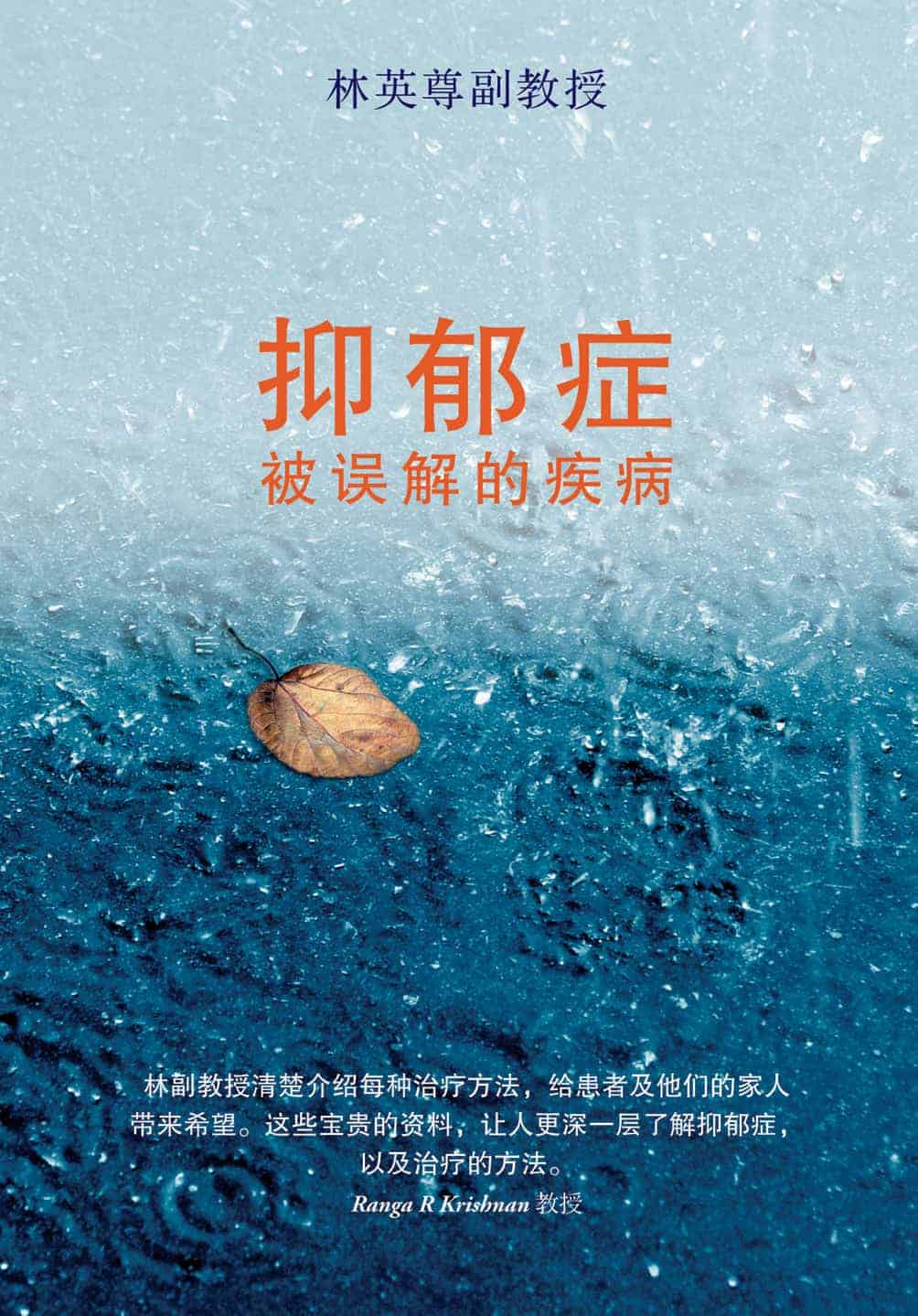 抑郁症: 被误解的疾病 Depression (Chinese)