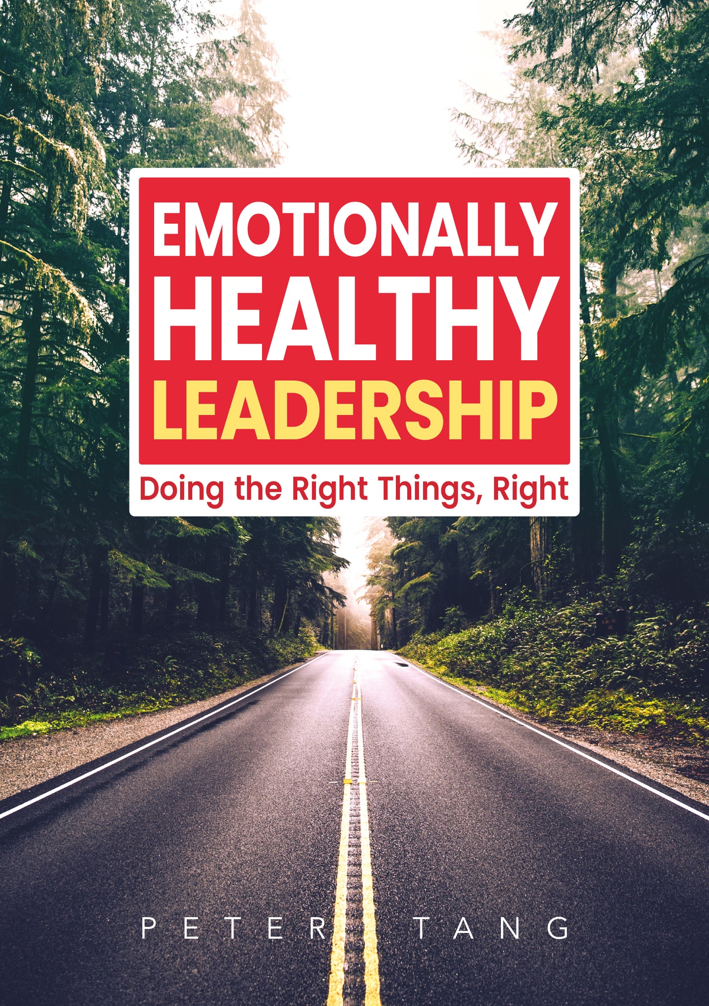 Emotionally Healthy Leadership: Doing the Right Things, Right