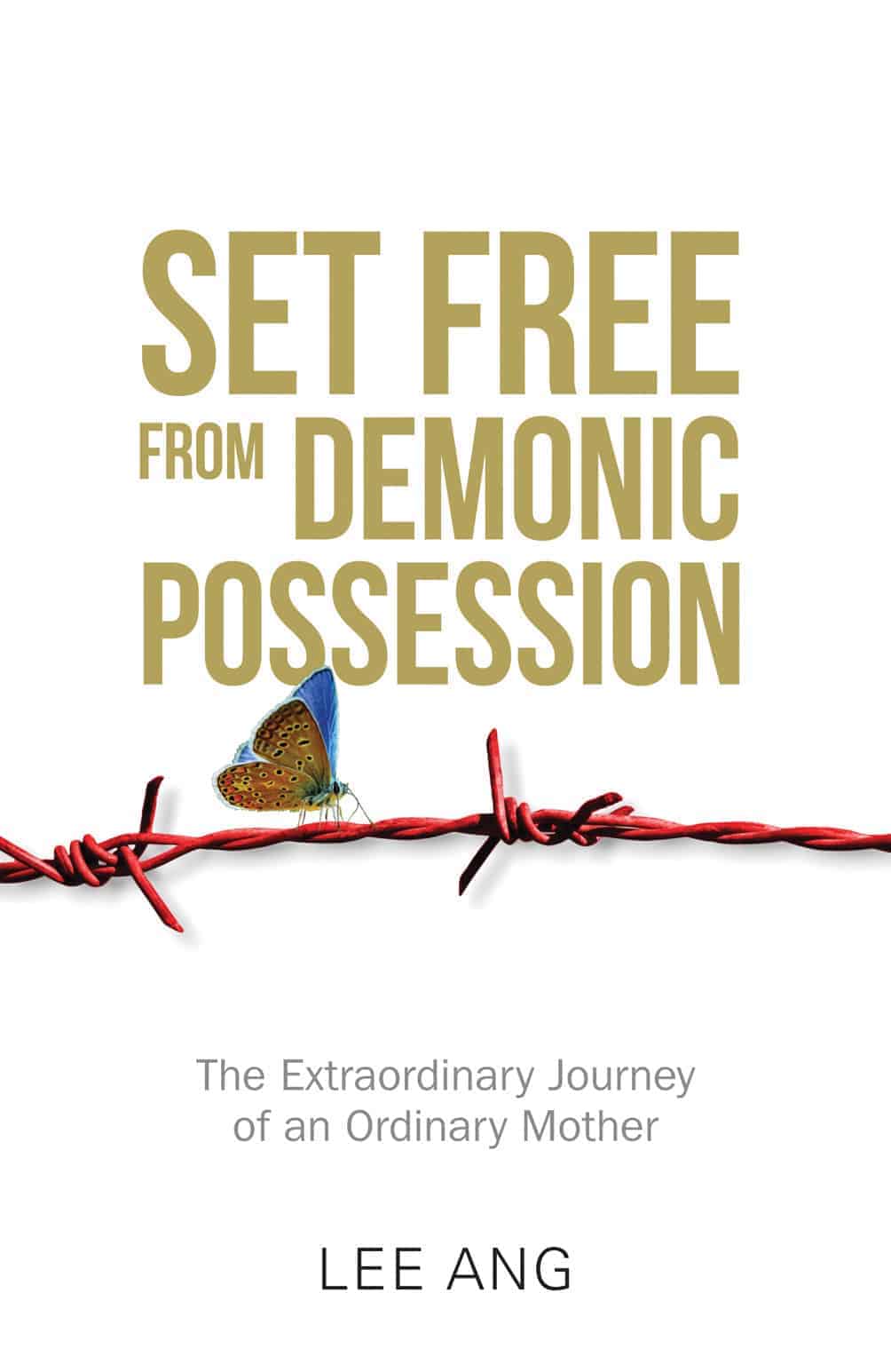 Set Free from Demonic Possession: The Extraordinary Journey of an Ordinary Mother