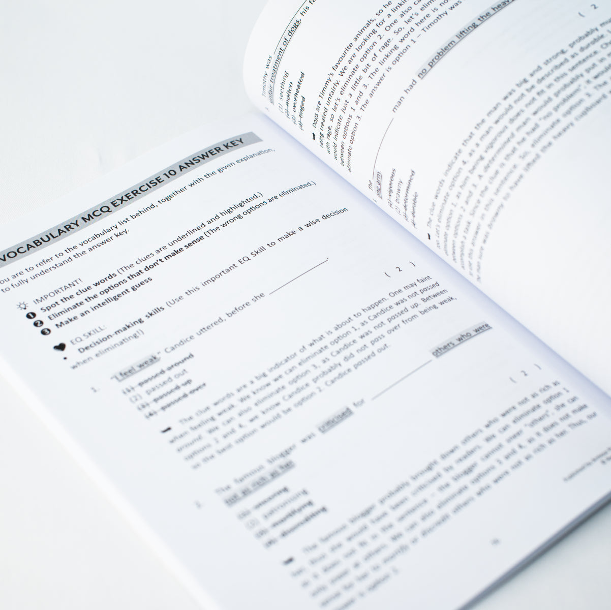 Ace Your Vocabulary, Primary 5 (Second Edition)